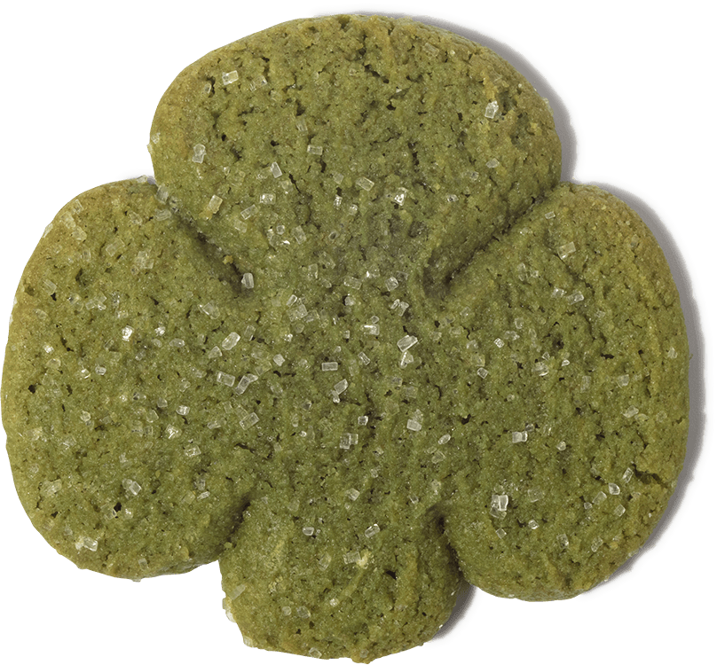 Naturally Colored Holiday Cookies